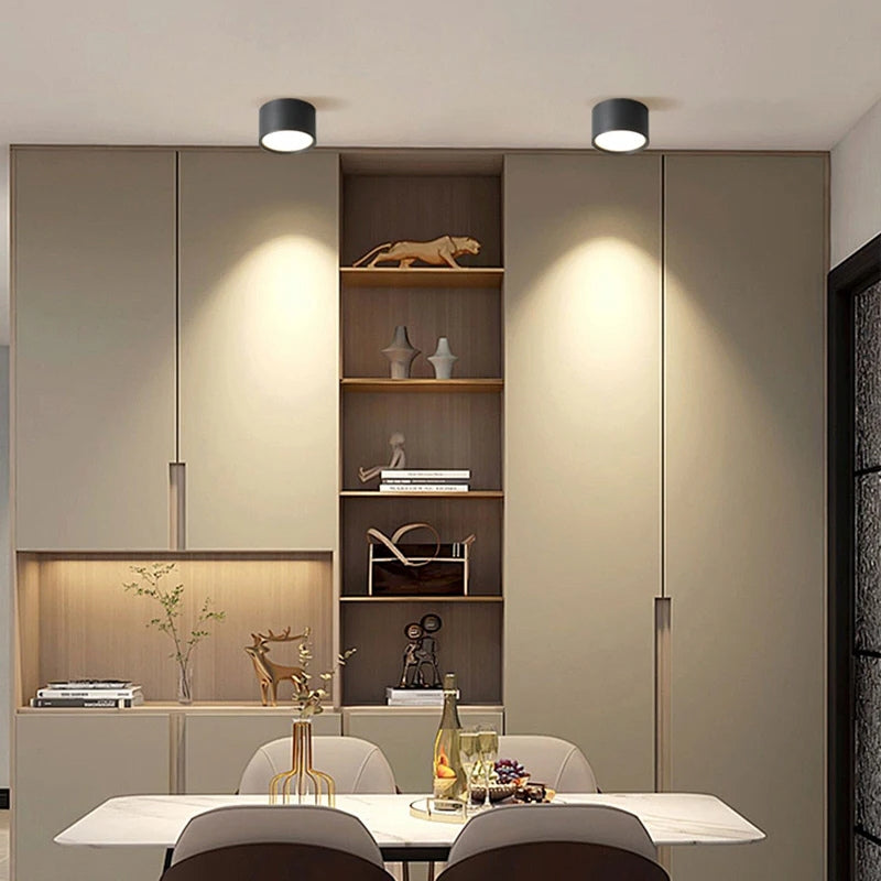 plafonnier simple 1