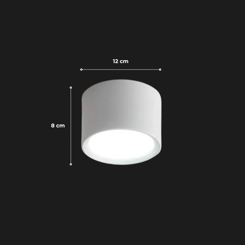 plafonnier simple 12