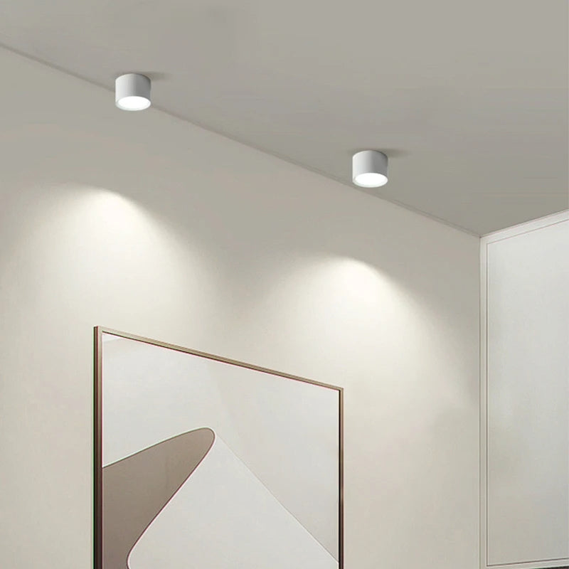 plafonnier simple 6